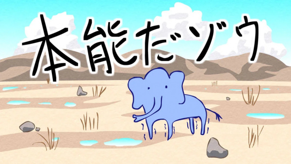 Passionate Elephant