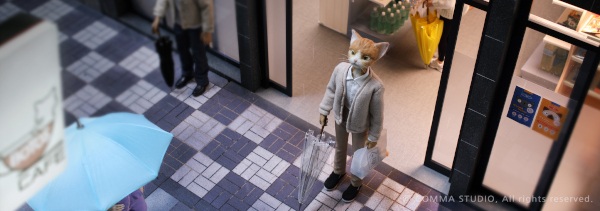 I Became a Cat