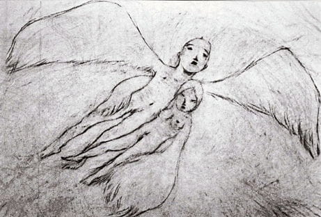 A Feather Stare at the Dark