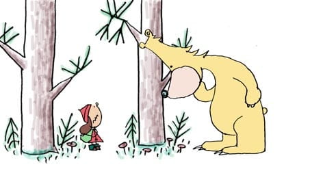 The Bear