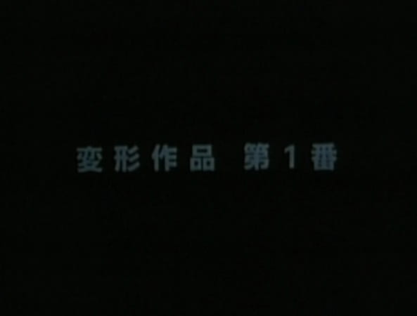 Metamorphose Works No.1
