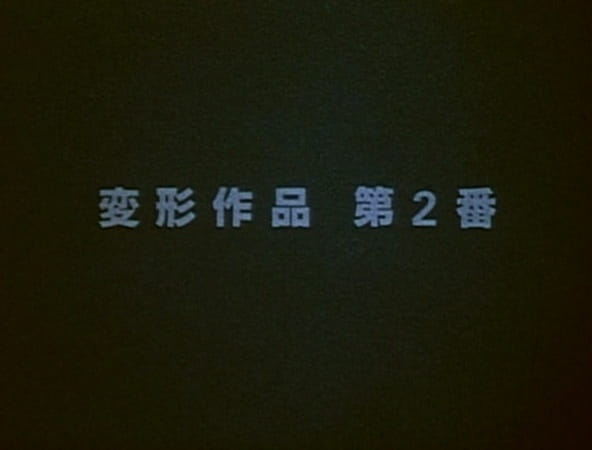 Metamorphose Works No.2