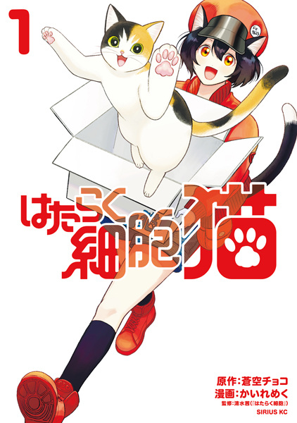 Hataraku Saibou Neko